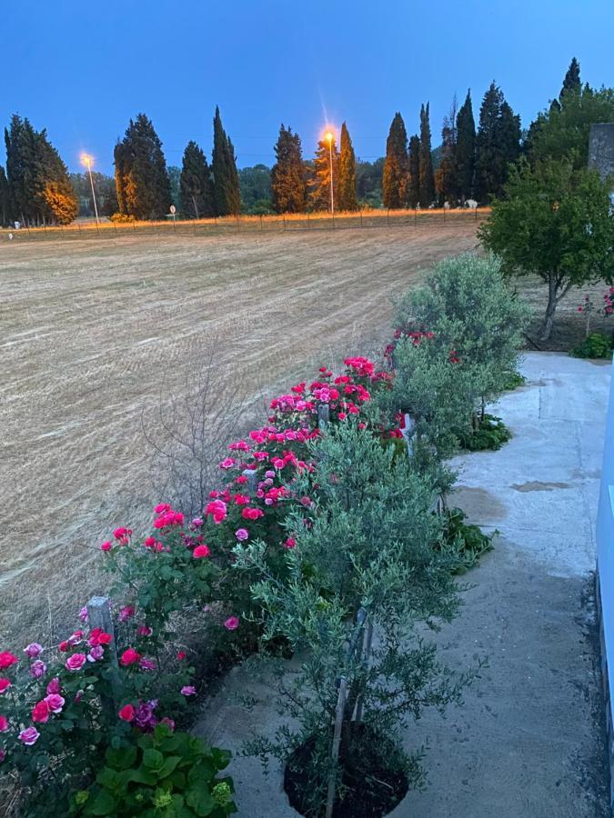 Margaritaville Ούλτσιν Εξωτερικό φωτογραφία